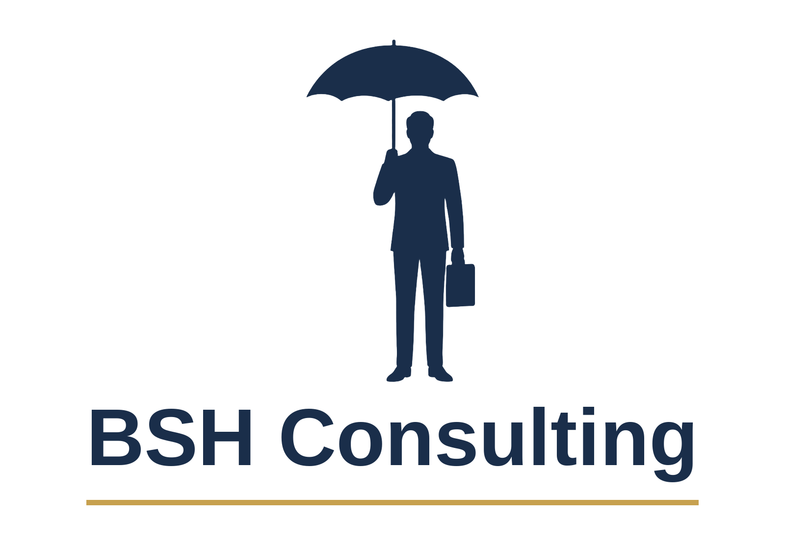 BSH Consulting, Your Umbrella Payroll Partner